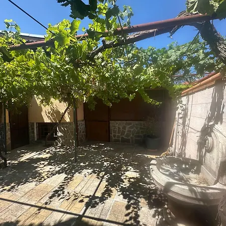 Tatil Evi амбър *