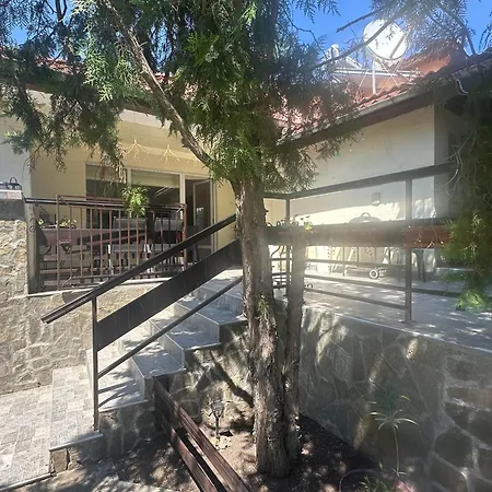 Tatil Evi амбър *