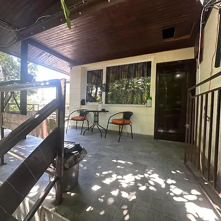 Tatil Evi амбър