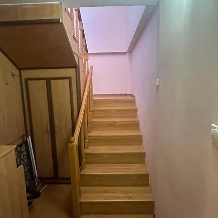 Tatil Evi амбър