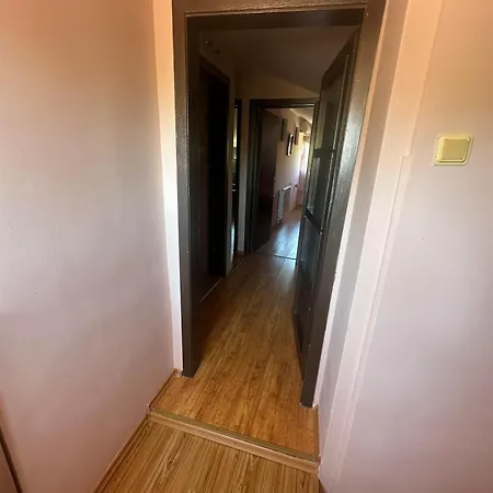 Tatil Evi амбър