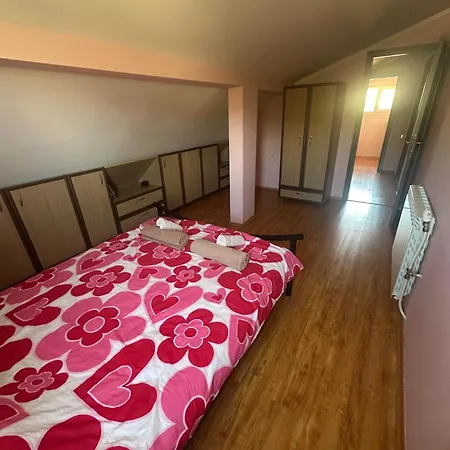 Tatil Evi амбър